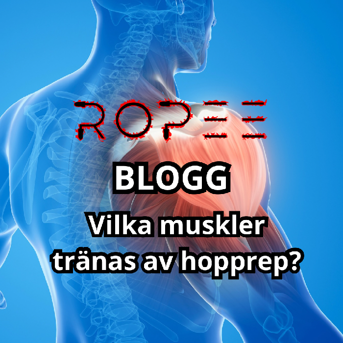 vilka-muskler-tr-nar-hopprep-guide-till-en-effektiv-helkroppstr-ning
